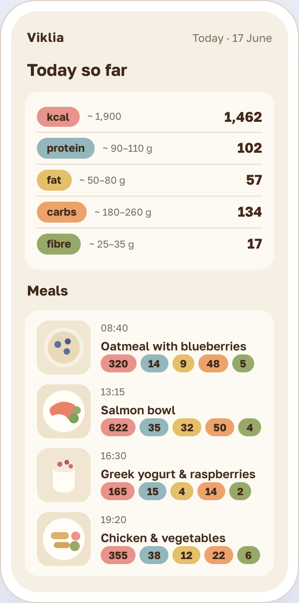 Viklia mockup: diary for one day with meals and daily totals
